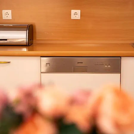 Apartmán Alesa Steva Tučepi