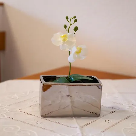 Alesa Steva Apartman